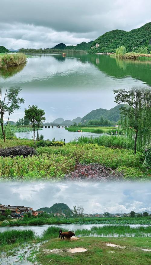 普者黑最值得去的景点