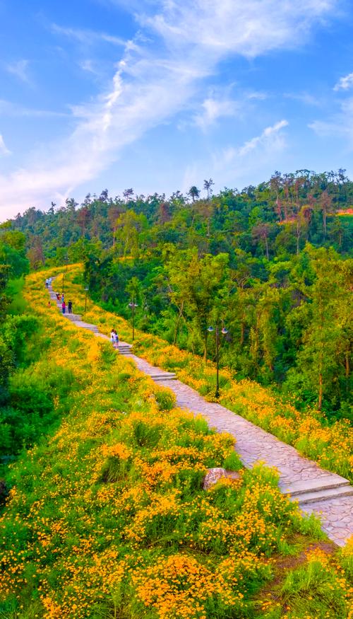 江夏免费旅游景点大全