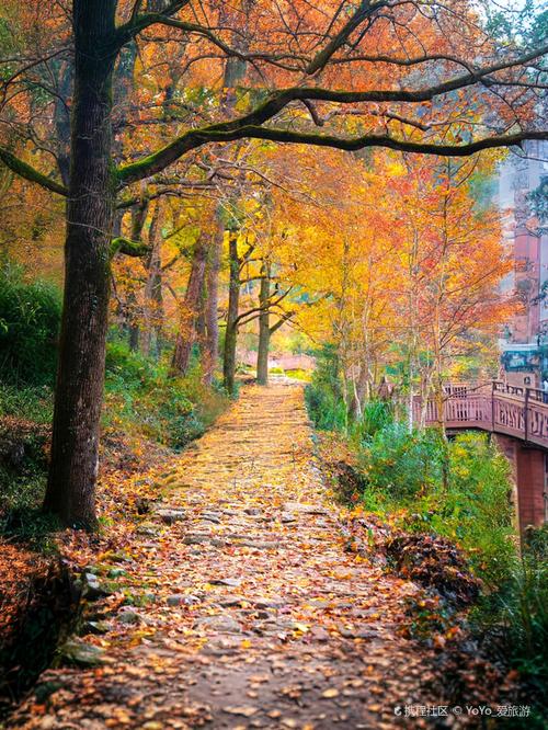 上海到黄南古道自驾游