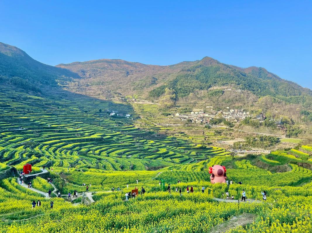 上虞免费旅游景点大全