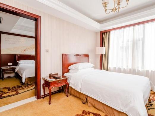 巴中维也纳国际酒店