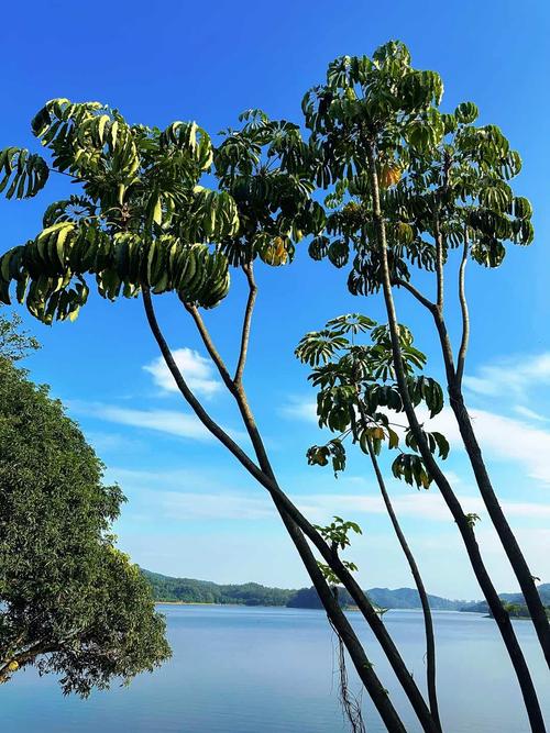 东莞适合自驾游的地方